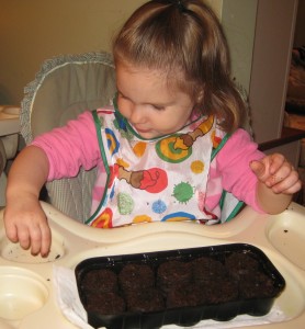 Planting sunflower seeds!